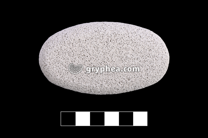 Pierre ponce - échantillon (usage ménager) - gryphea.com